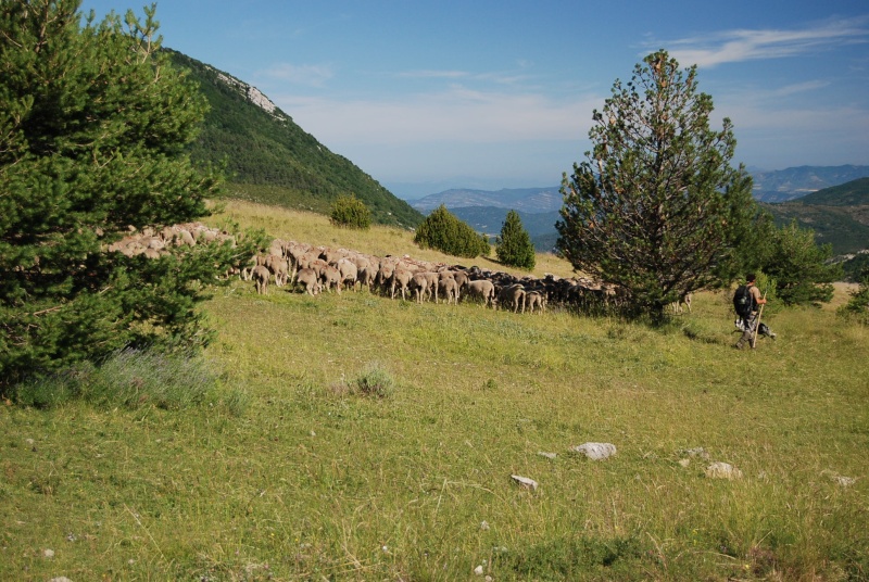 dsc_0110.jpg