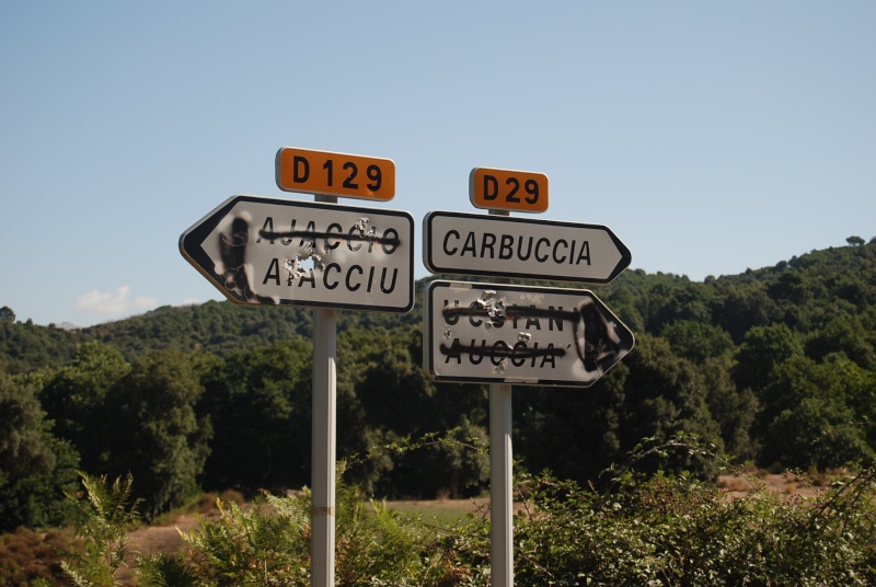 dsc_0310.jpg