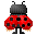 Coccinelle spirituelle Coccinelle spirituelle