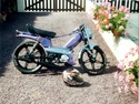 img00310.jpg
