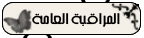 المراقبة العامة المراقبة العامة