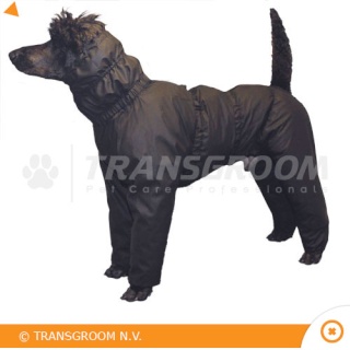 manteau pour chien avec pattes