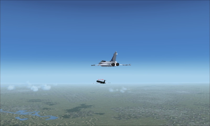 fs9_2010.jpg