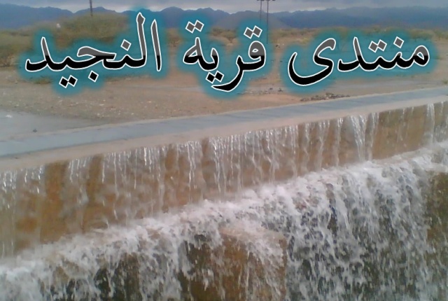 منتدى قرية النجيد