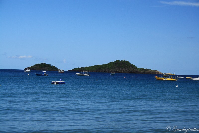 img_2012.jpg