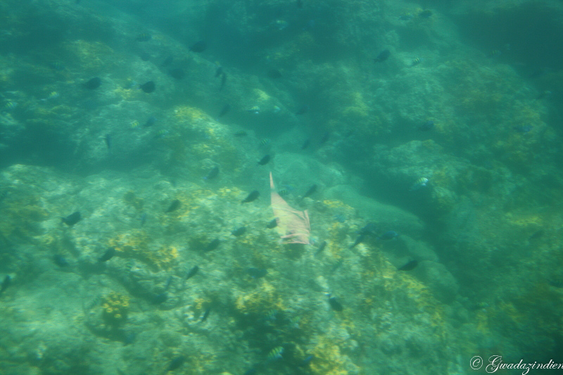 img_2014.jpg