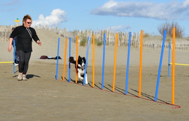Rencontre plage espiguette