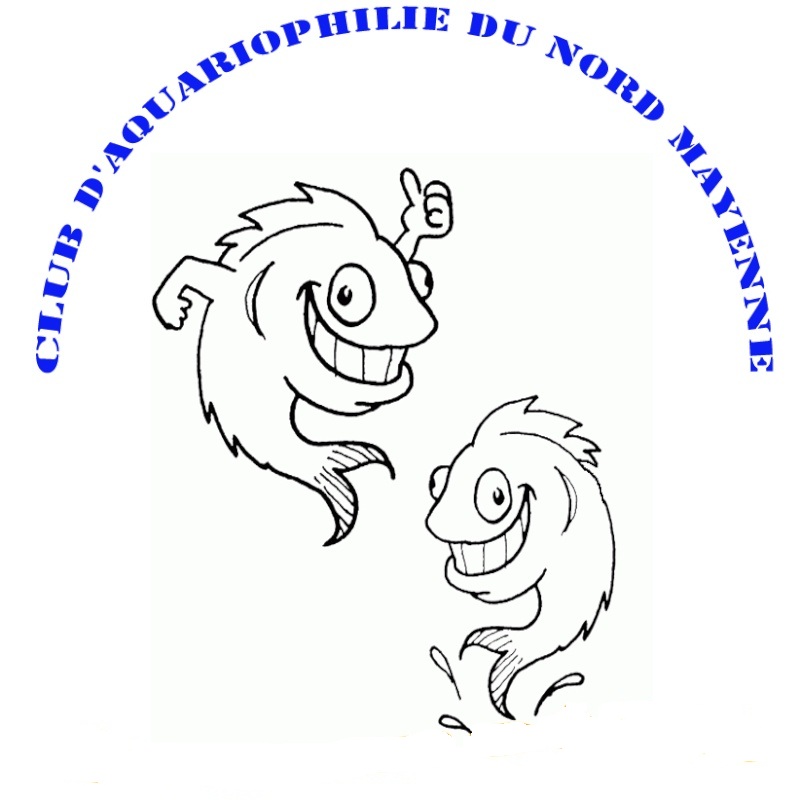 logo_210.jpg