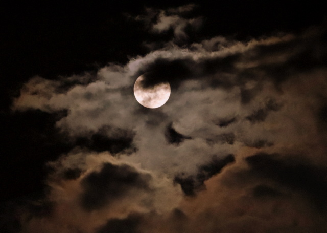lune310.jpg